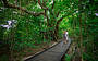 Fly to Green Island - Cruise Return (Discovery Full Day)