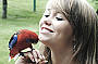 Handfeed Wild Rainbow Lorikeets and King Parrots